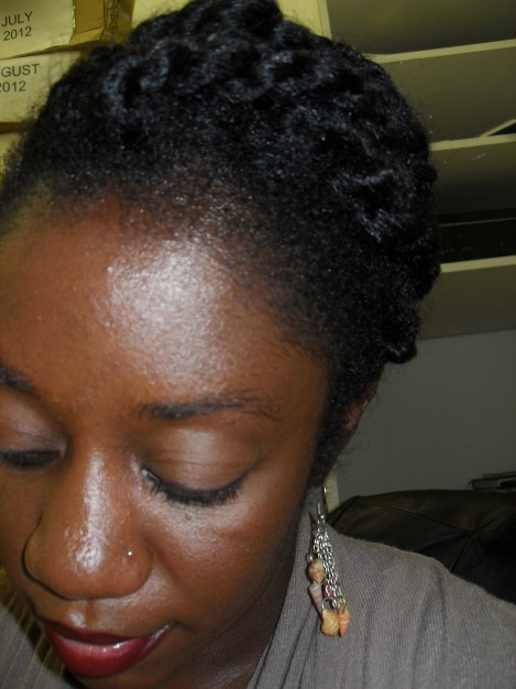 Two Strand Twists (up close)