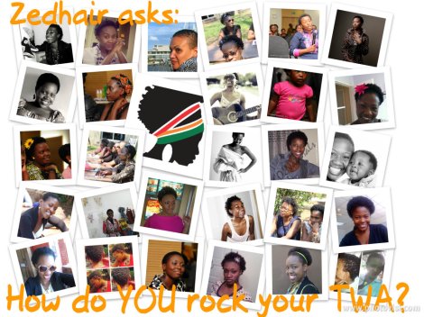 Zedhair Collage: TWA