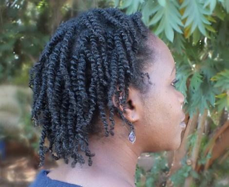 Day 3 - Twist out. This is the free side where you can really see the definition clearly