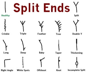 There are many types of split ends.